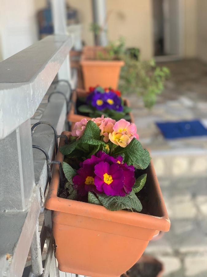 Guest House Loza سينغناغي المظهر الخارجي الصورة