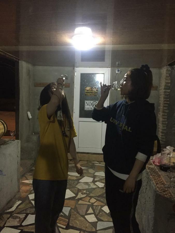 Guest House Loza سينغناغي المظهر الخارجي الصورة